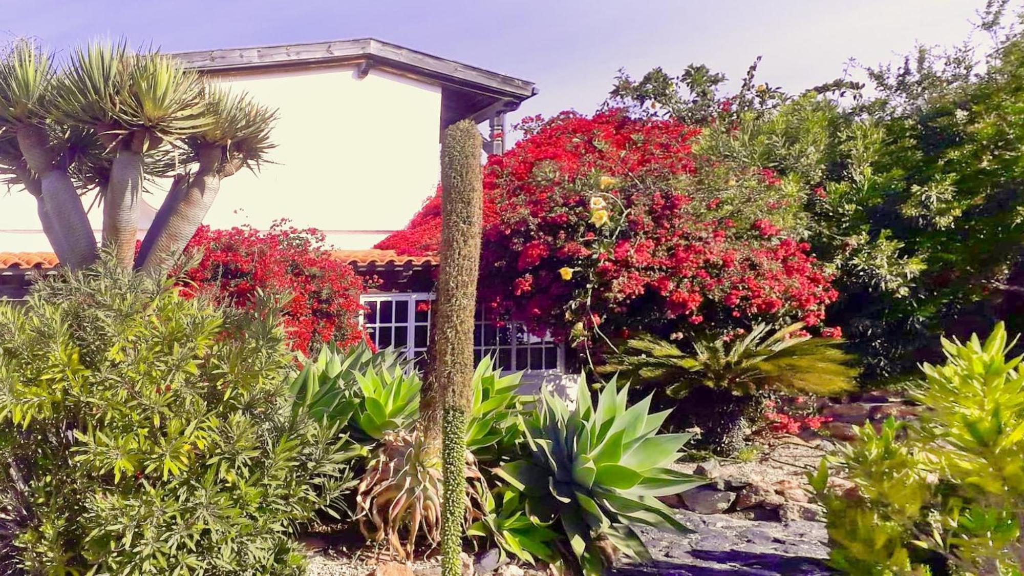-Casa Azul-Arico Viejo La Sabinita - Baden, Wandern, Klettern, Individualurlaub Jenseits Des Massentourismus,ヴィラ エクステリア 写真
